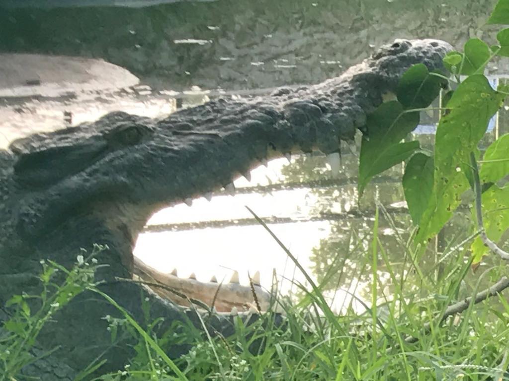 Villas Vallazoo Popola Luaran gambar